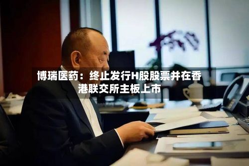 博瑞医药：终止发行H股股票并在香港联交所主板上市-第3张图片