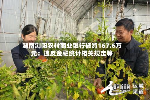 湖南浏阳农村商业银行被罚167.6万元：违反金融统计相关规定等