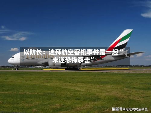 以防长：迪拜航空客机事件是一起“未遂恐怖袭击”