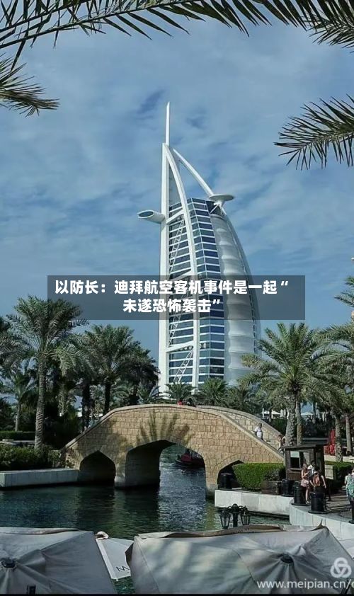 以防长：迪拜航空客机事件是一起“未遂恐怖袭击	”-第2张图片