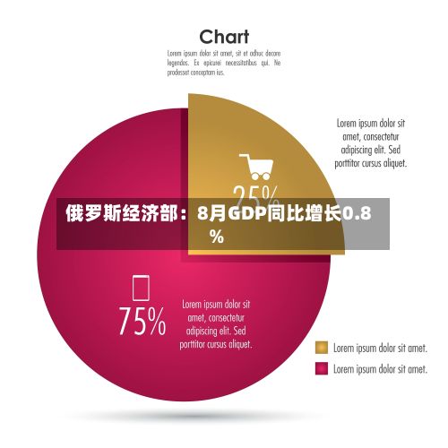 俄罗斯经济部：8月GDP同比增长0.8%