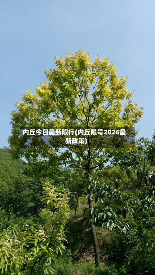内丘今日最新限行(内丘限号2026最新政策)