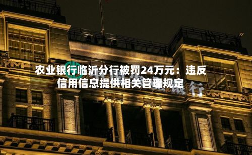 农业银行临沂分行被罚24万元：违反信用信息提供相关管理规定