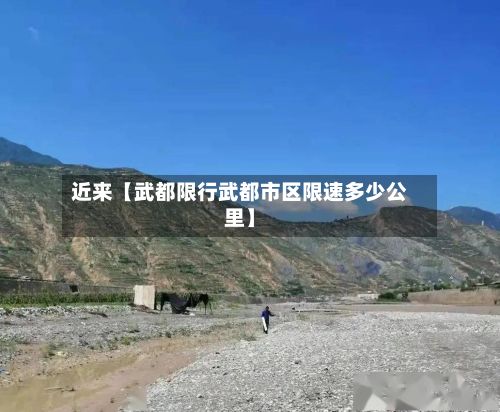近来【武都限行武都市区限速多少公里】