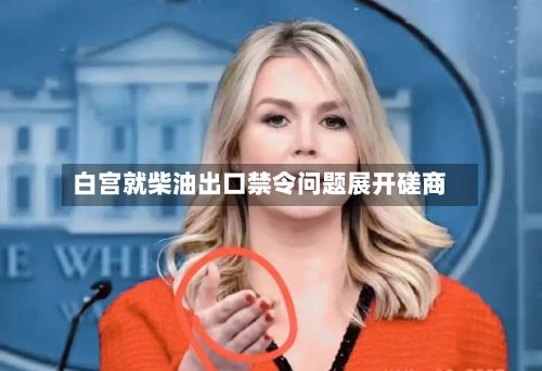 白宫就柴油出口禁令问题展开磋商-第3张图片
