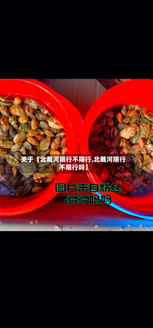 关于【北戴河限行不限行,北戴河限行不限行吗】