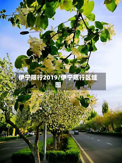 伊宁限行2019/伊宁限行区域图