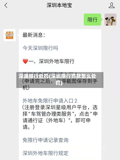 深渊限行处罚(深圳限行罚款怎么处罚)-第2张图片