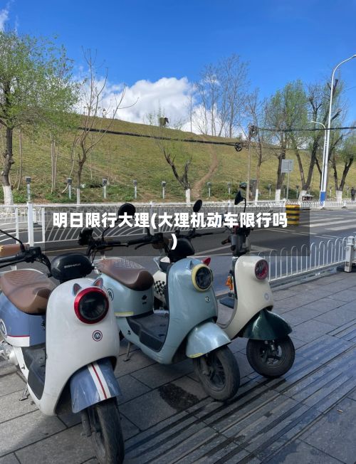 明日限行大理(大理机动车限行吗)-第2张图片