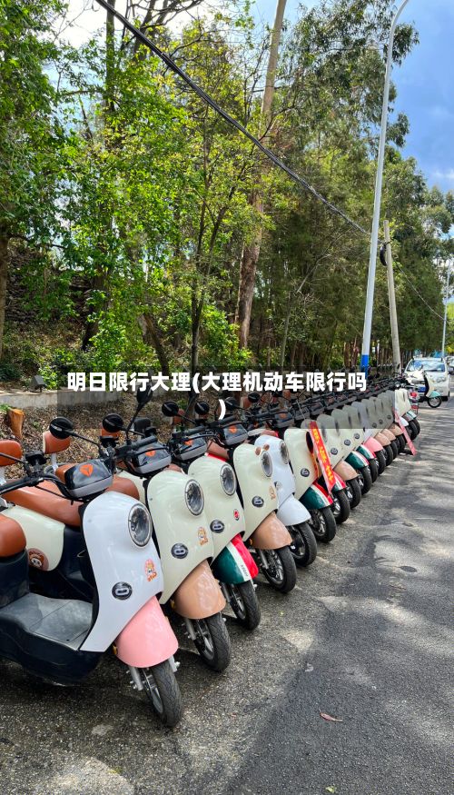 明日限行大理(大理机动车限行吗)
