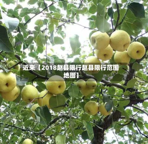 近来【2018赵县限行赵县限行范围地图】