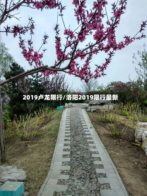 2019卢龙限行/洛阳2019限行最新-第2张图片