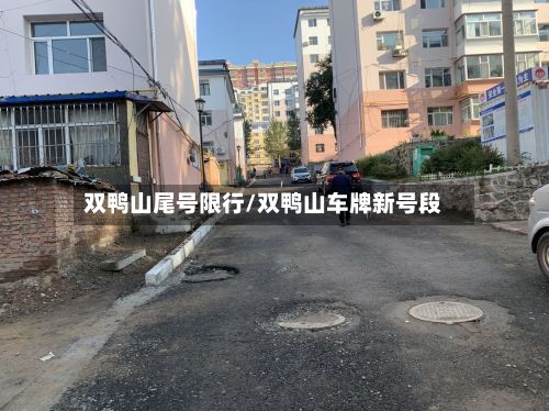 双鸭山尾号限行/双鸭山车牌新号段