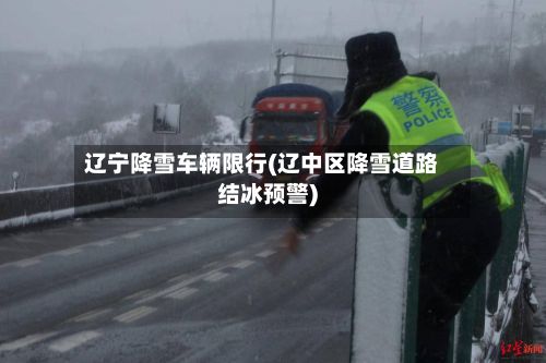 辽宁降雪车辆限行(辽中区降雪道路结冰预警)-第3张图片