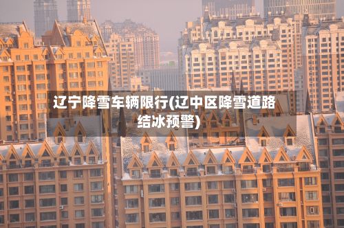 辽宁降雪车辆限行(辽中区降雪道路结冰预警)-第2张图片