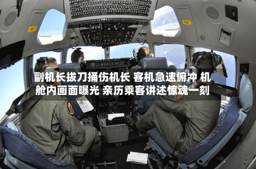 副机长拔刀捅伤机长 客机急速俯冲 机舱内画面曝光 亲历乘客讲述惊魂一刻
