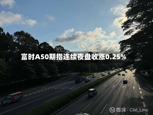 富时A50期指连续夜盘收涨0.25%-第3张图片