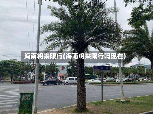海南将来限行(海南将来限行吗现在)-第2张图片