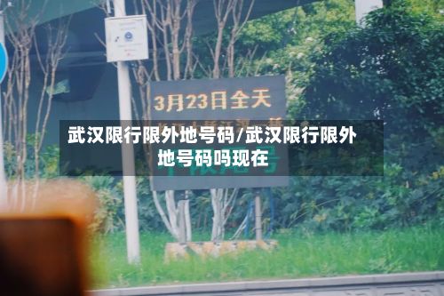 武汉限行限外地号码/武汉限行限外地号码吗现在-第2张图片