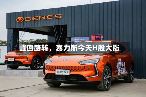 峰回路转	，赛力斯今天H股大涨-第3张图片