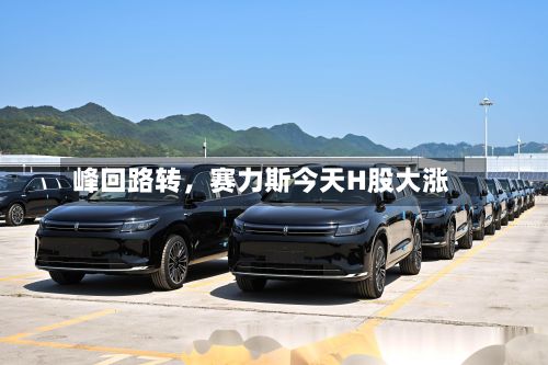 峰回路转，赛力斯今天H股大涨-第2张图片