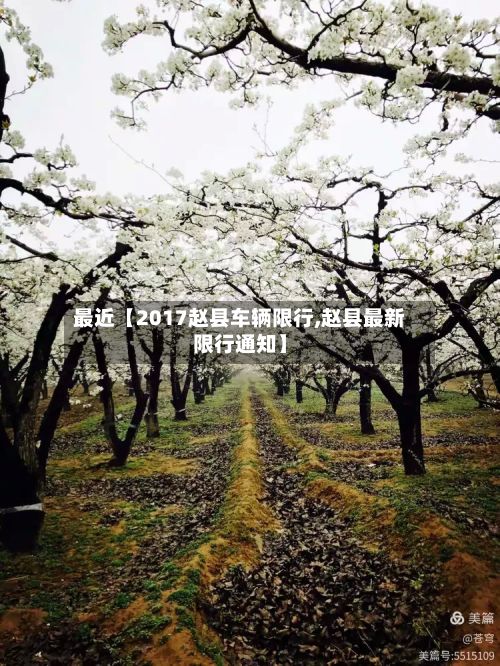 最近【2017赵县车辆限行,赵县最新限行通知】-第3张图片