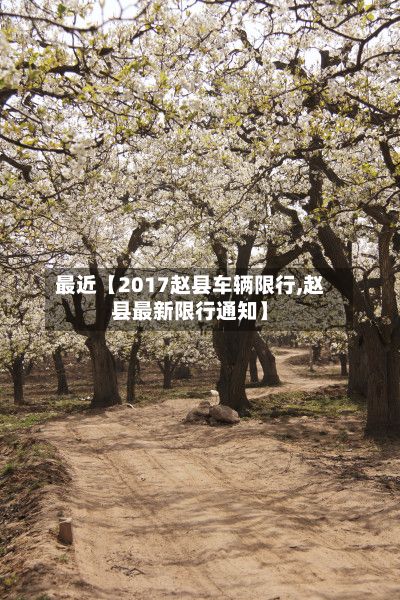 最近【2017赵县车辆限行,赵县最新限行通知】-第2张图片