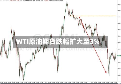 WTI原油期货跌幅扩大至3%