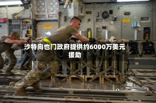 沙特向也门政府提供约6000万美元援助-第2张图片