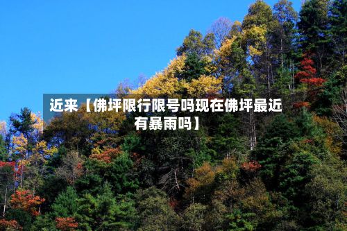近来【佛坪限行限号吗现在佛坪最近有暴雨吗】-第3张图片
