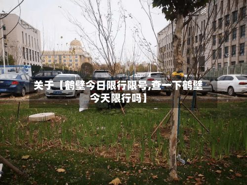关于【鹤壁今日限行限号,查一下鹤壁今天限行吗】