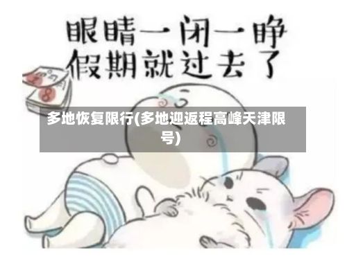 多地恢复限行(多地迎返程高峰天津限号)-第2张图片