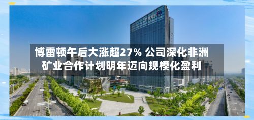 博雷顿午后大涨超27% 公司深化非洲矿业合作计划明年迈向规模化盈利-第2张图片