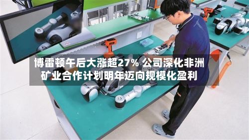 博雷顿午后大涨超27% 公司深化非洲矿业合作计划明年迈向规模化盈利-第1张图片