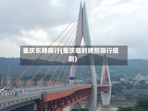 重庆东牌限行(重庆临时牌照限行规则)-第3张图片
