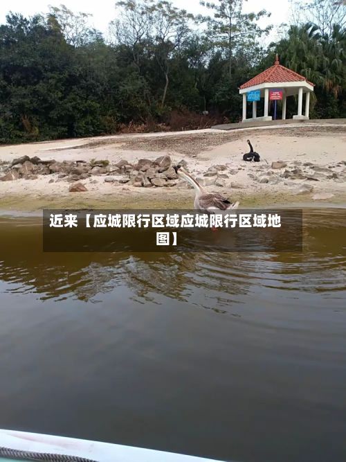 近来【应城限行区域应城限行区域地图】-第2张图片