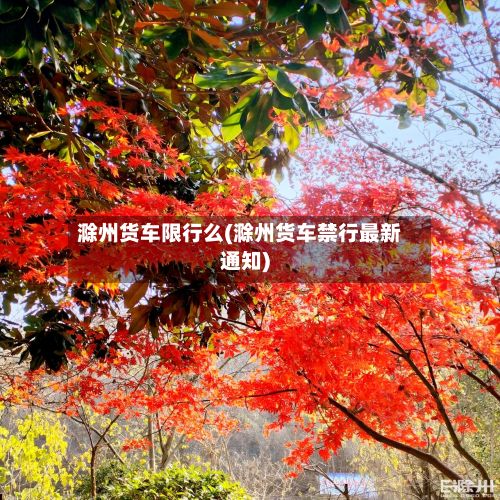 滁州货车限行么(滁州货车禁行最新通知)