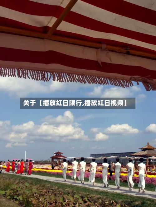 关于【播放红日限行,播放红日视频】-第2张图片
