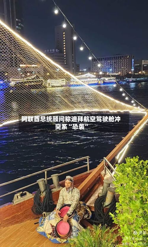 阿联酋总统顾问称迪拜航空驾驶舱冲突系“恐袭	”-第1张图片
