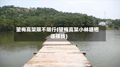 望梅高架限不限行(望梅高架小林塘栖连接线)-第2张图片