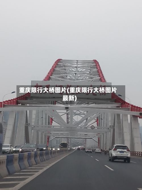 重庆限行大桥图片(重庆限行大桥图片最新)