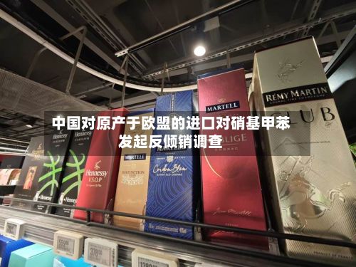 中国对原产于欧盟的进口对硝基甲苯发起反倾销调查-第2张图片