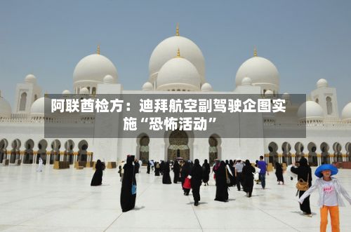 阿联酋检方：迪拜航空副驾驶企图实施“恐怖活动”