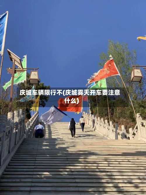 庆城车辆限行不(庆城雾天开车要注意什么)-第2张图片