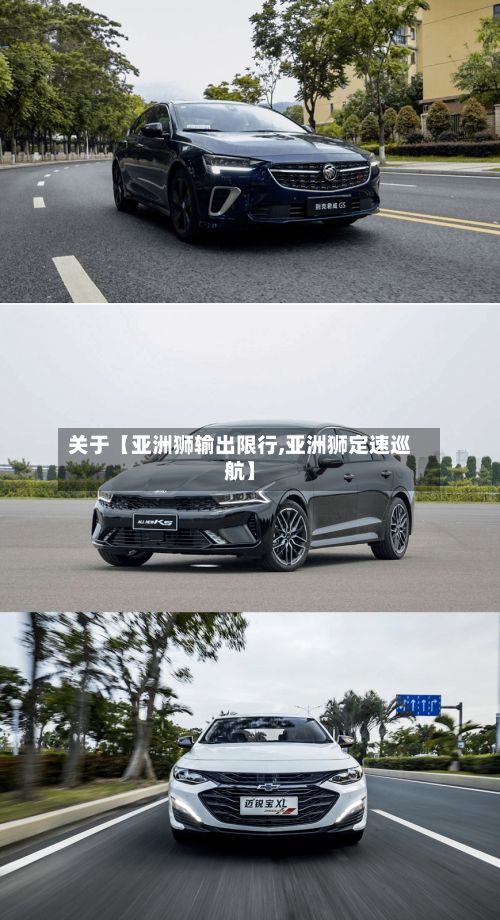 关于【亚洲狮输出限行,亚洲狮定速巡航】-第2张图片