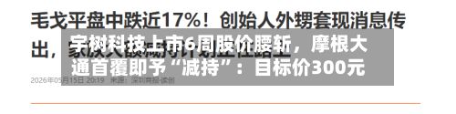 宇树科技上市6周股价腰斩	，摩根大通首覆即予“减持	”：目标价300元-第3张图片