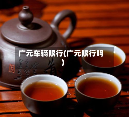 广元车辆限行(广元限行吗)