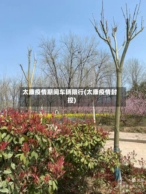 太康疫情期间车辆限行(太康疫情封控)
