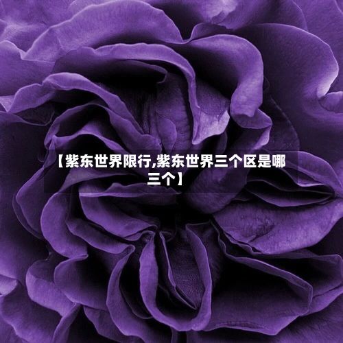 【紫东世界限行,紫东世界三个区是哪三个】-第2张图片