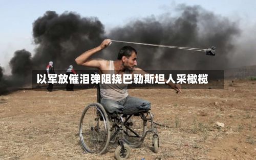 以军放催泪弹阻挠巴勒斯坦人采橄榄
